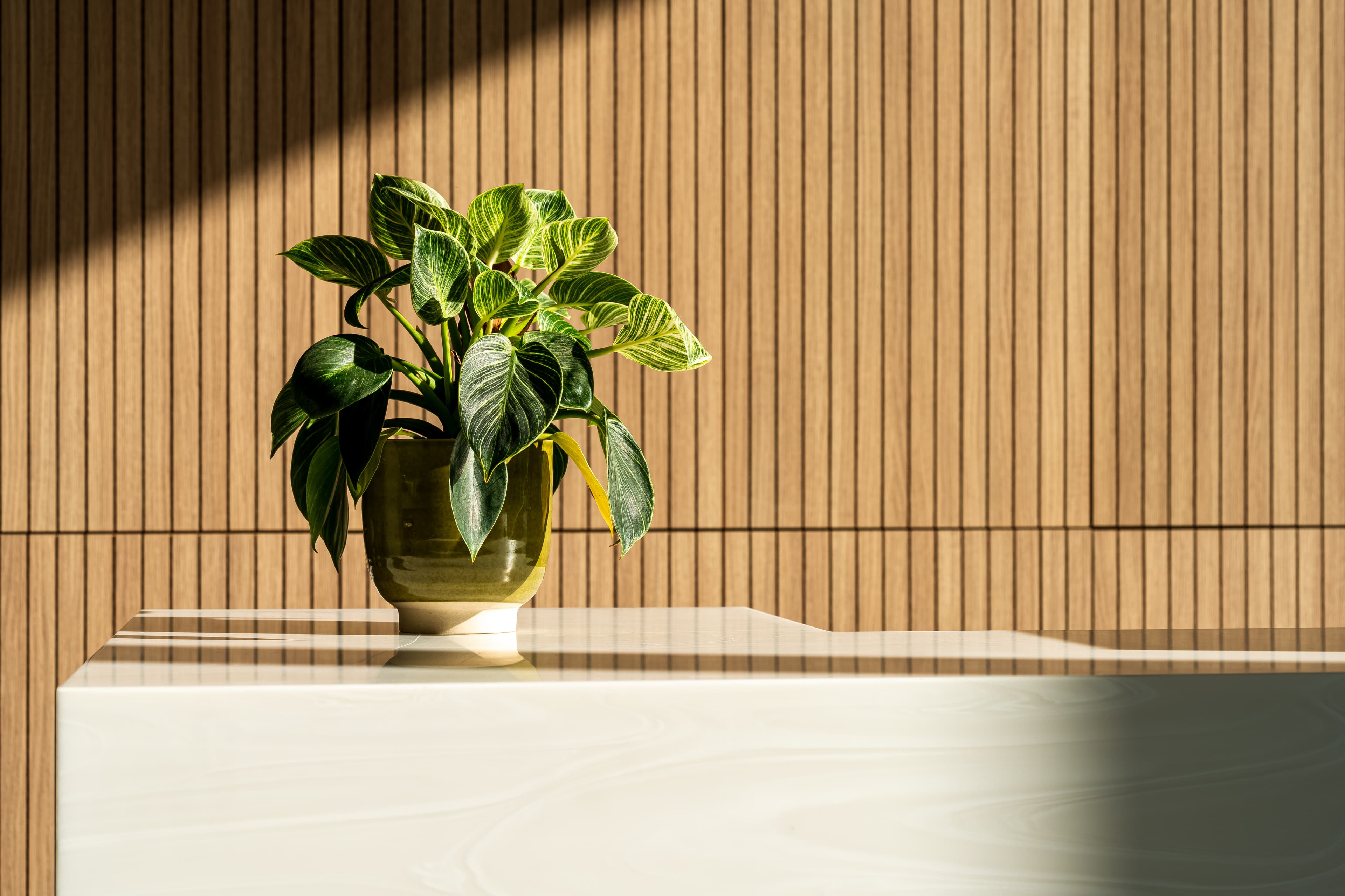 Photo illustrative de la démarche environnementale de Green Home